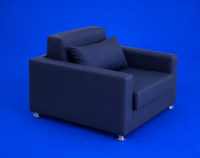 Clinicare DBAR day bed with armrests and pillow